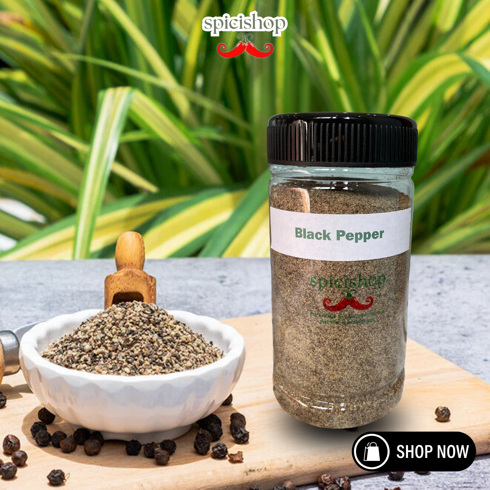 black Pepper Powder